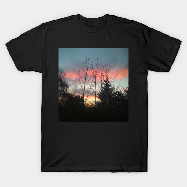 Morning sky T-Shirt by archvinde